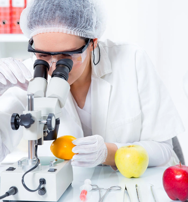 foodlab1